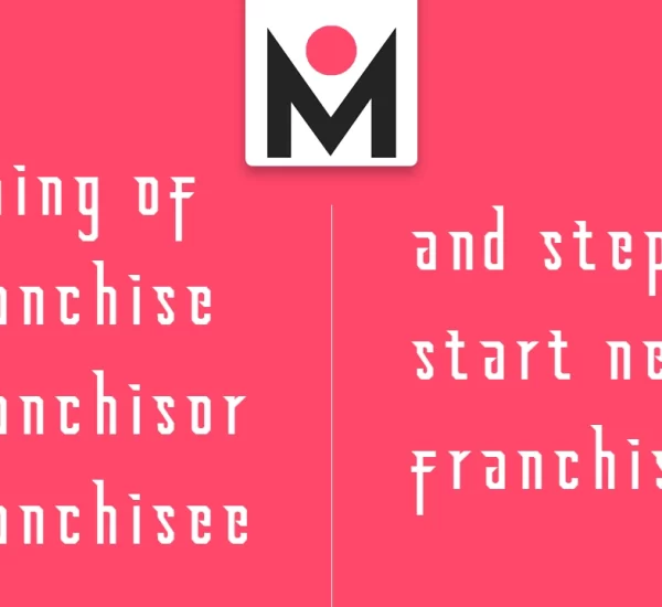 Franchise Meaning in English